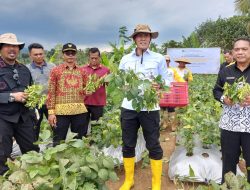 Kakanwil Ditjenpas Apresiasi Panen Raya Edamame SAE Lapas Kelas 1 Malang