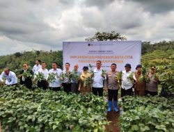 SAE Lapas Malang Gelar Panen Edamame Tahap Kedua Bersama Kakanwil Ditjenpas Jatim