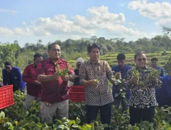 Lapas Malang dan Universitas Negeri Malang Panen Edamame dan Lele di SAE L’SIMA Ngajum