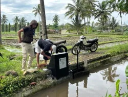 Kolaborasi Atasi Krisis: KKN UMM Bangun Irigasi untuk Jambangan