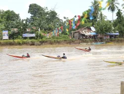 Katinting Mendayung di Atas Arus Sungai Nipa-Mare Menghadirkan Hiburan Untuk Rakyat 