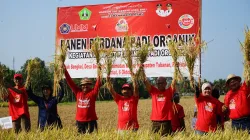 UMM Dipercaya UNESCO Kawal Misi Kelestarian Air Dunia, dari Subak Bali hingga Desalinasi NTT