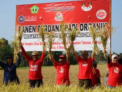 UMM Dipercaya UNESCO Kawal Misi Kelestarian Air Dunia, dari Subak Bali hingga Desalinasi NTT