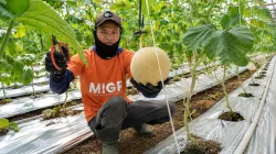 Dari Buruh Tani Menuju Petani Mandiri, Program Zakat Produktif YBM BRILiaN Hasilkan Omzet Hampir Rp93 Juta